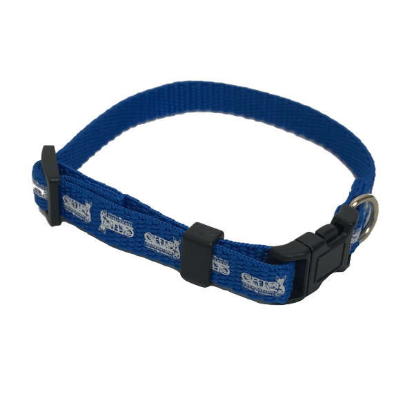 C.A.T.S. Foundation Small Blue Collar