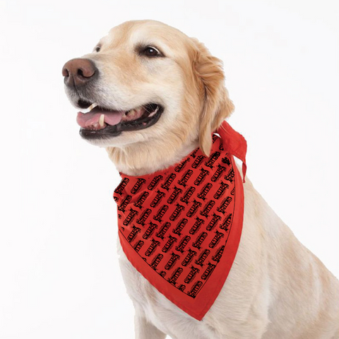 C.A.T.S. Foundation Red Bandana